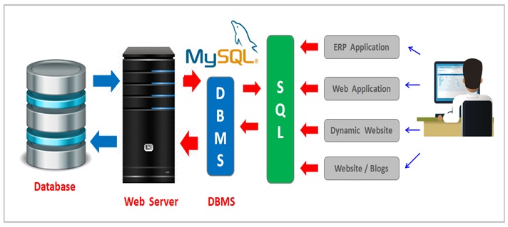 Database design